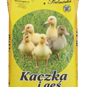 kaczka i gęś 1